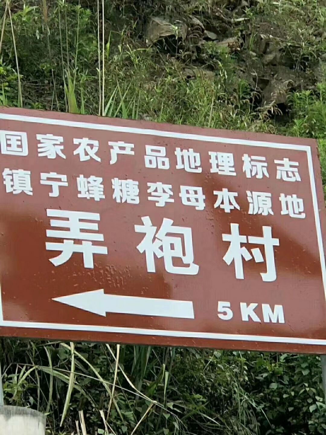 正品蜂糖李，原产地直销，现摘现发
