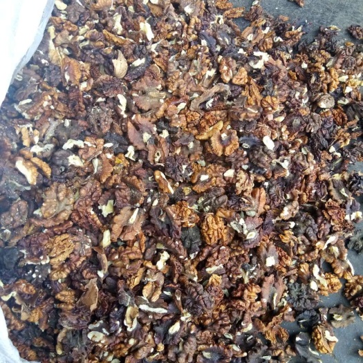 洛南县 新疆黑黄核桃仁，无臭仁，榨油的明智之选