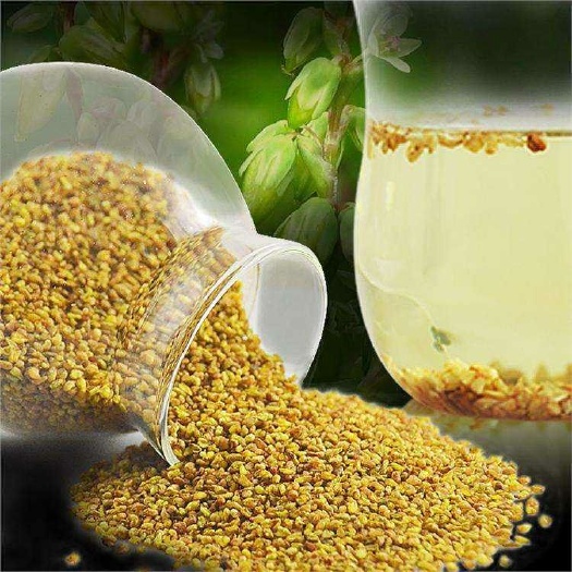 保定 特级苦荞茶！批发，零售！保健！减脂！