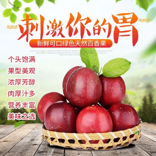 兴业县 【一级大果】广西百香果精选大果5斤装 新鲜水果现摘现发酸爽