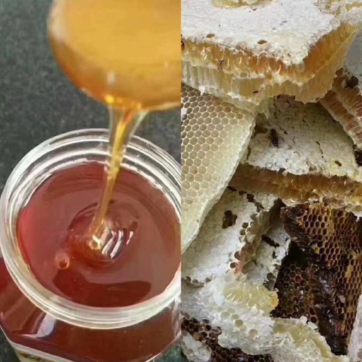 五味子花粉 天然蜂蜜