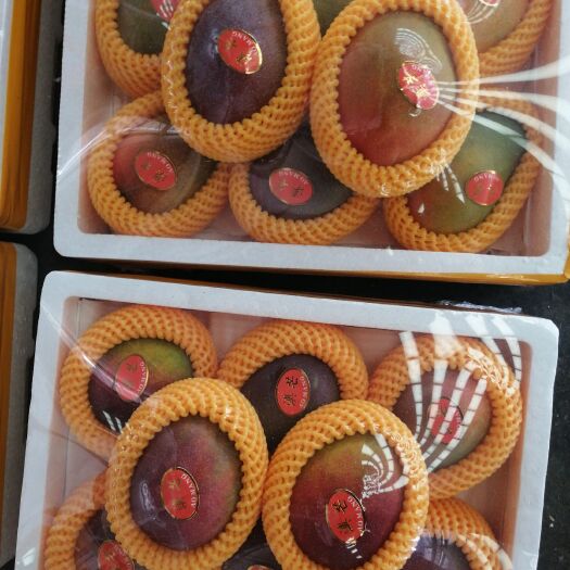 高碑店市 越南，缅甸，攀枝花芒果