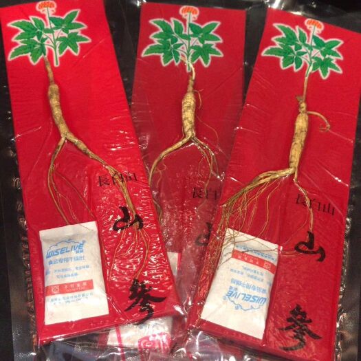 抚松县移山参 山参单只装