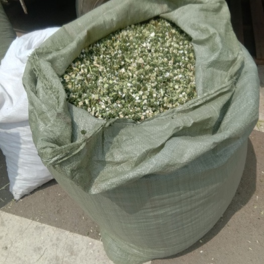 亳州 益母草新货   颜色清秀