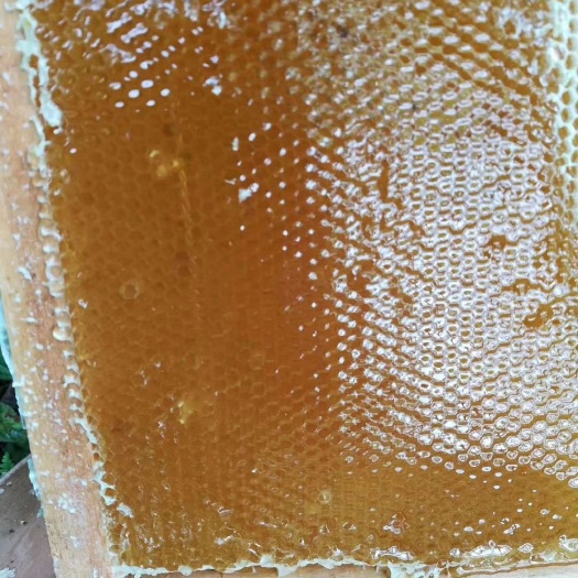 赣州 蜂蜜