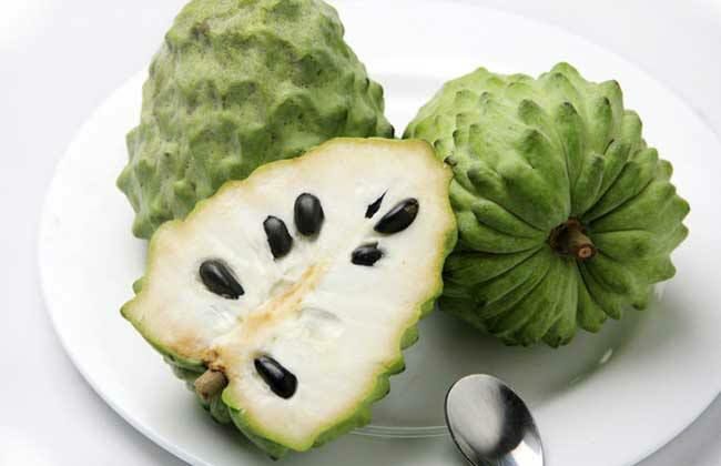 灵山县释迦果苗 带营养杯发货