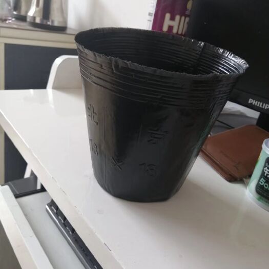 种植槽 育苗杯普通15×18，一件4000个，实际尺寸14×17包邮