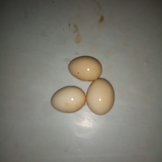 万载县 土鸡蛋，
