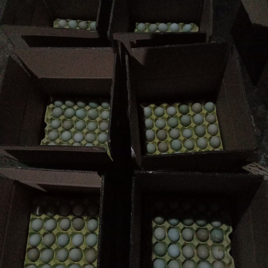 凤凰县绿壳鸡蛋 食用 箱装