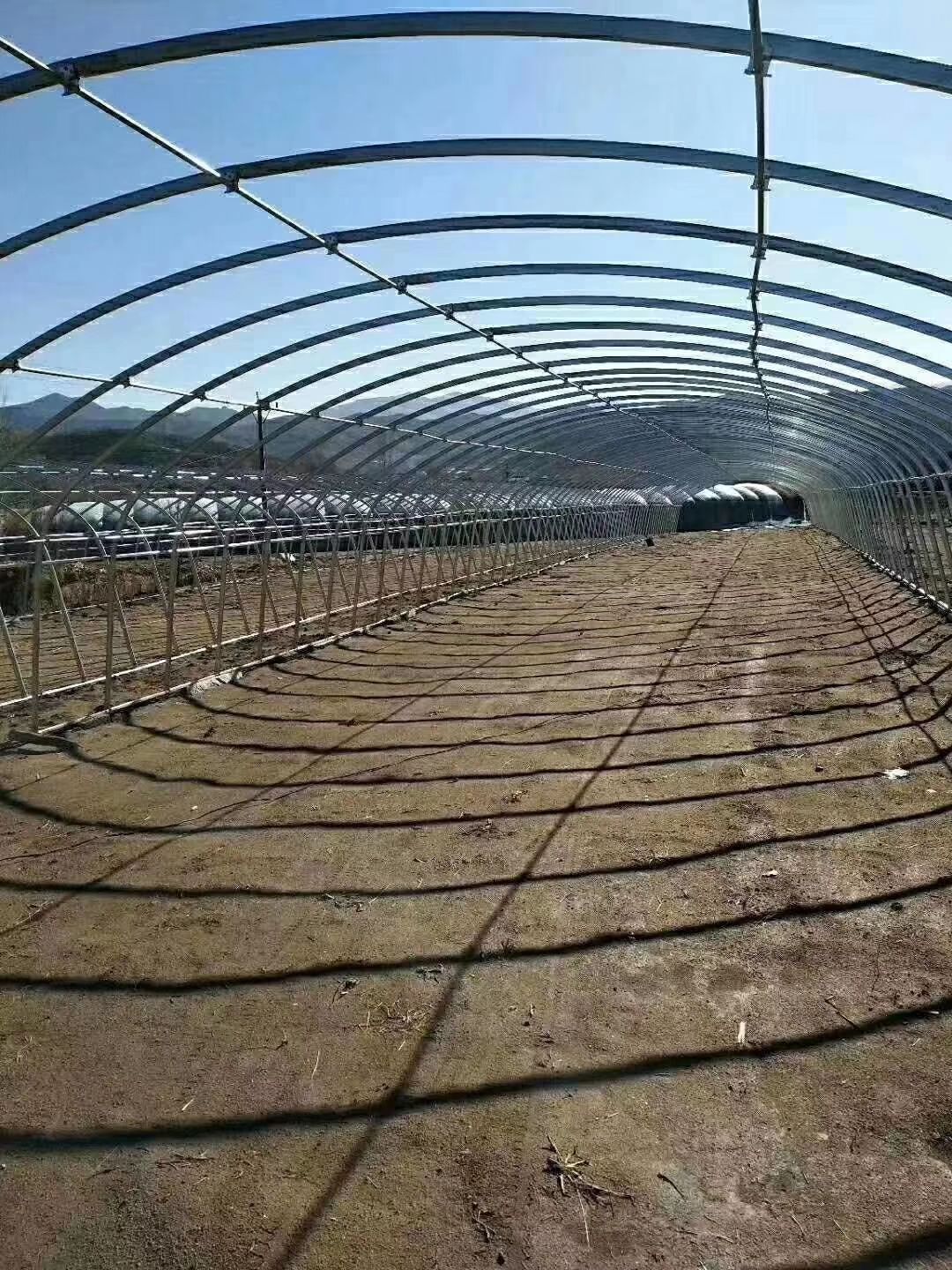 新手种植大棚最简单三个步骤的简单介绍