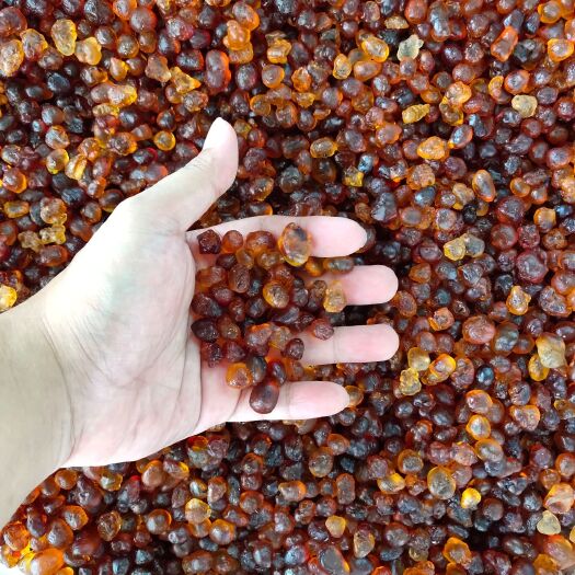 玉林食用桃胶 6-12个月