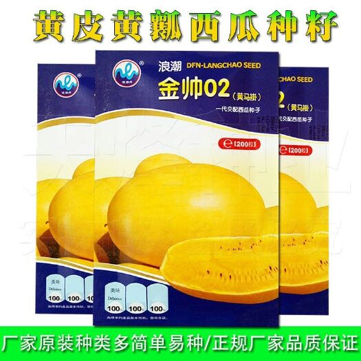黄瓤西瓜种子  金帅02黄皮黄瓤黄肉西瓜种子 高档礼品瓜 皮薄甜嫩口感好