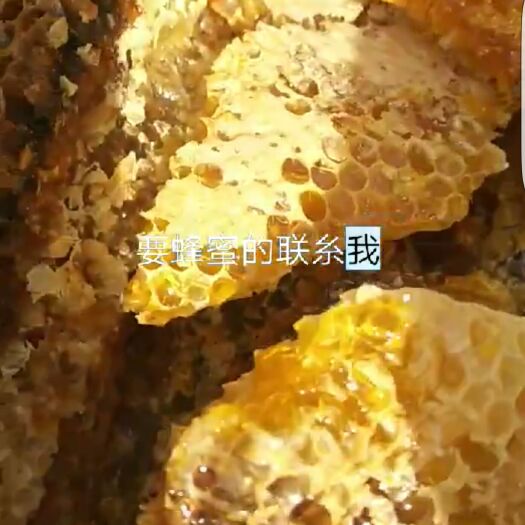 石屏县 云南野生蜂蜜，假一赔十