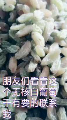 吐鲁番 无核白葡萄干