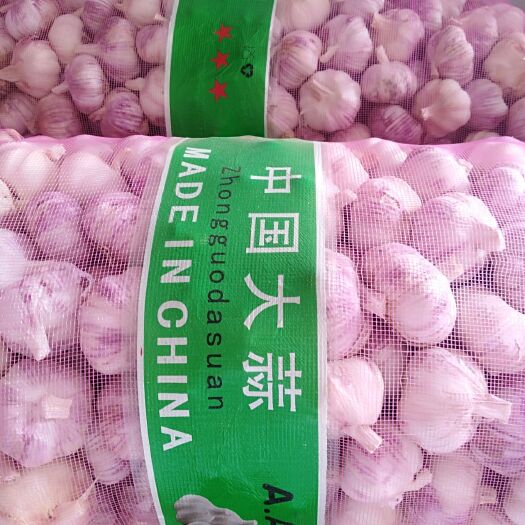 杞县 杞县大蒜常年供应