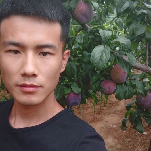 中牟县 黑布林一件代发价格美丽