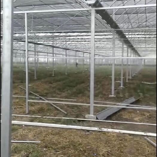 沭阳县大棚管 大棚杆 连栋棚，养殖棚，种植棚