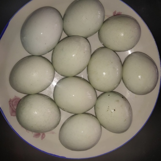惠民县土鸡种蛋 食用 箱装