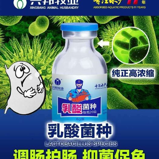 原阳县水产EM菌培养基 调理肠道，抑菌促免，预防蓝藻爆发
