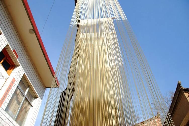 天水小麦面条 天水黄庄手工面