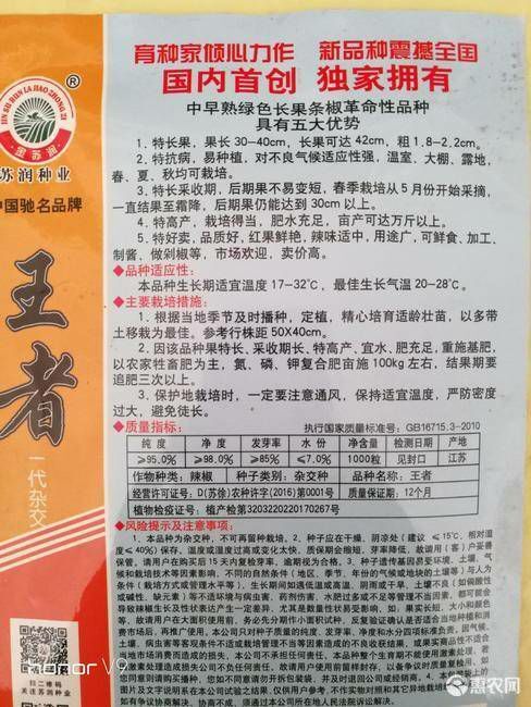 夏邑县线椒种子