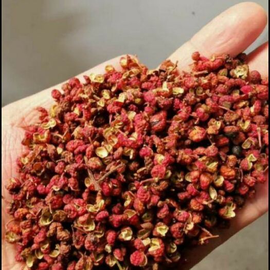 涉县红花椒 大量供应一级特级大红袍！青椒，一手货源！实地考察报销路费