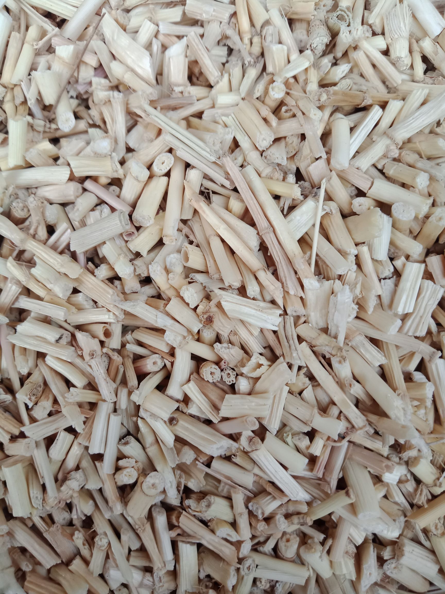 白茅根 货真价实