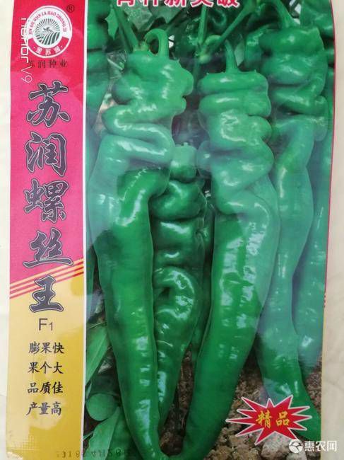 螺丝椒种子