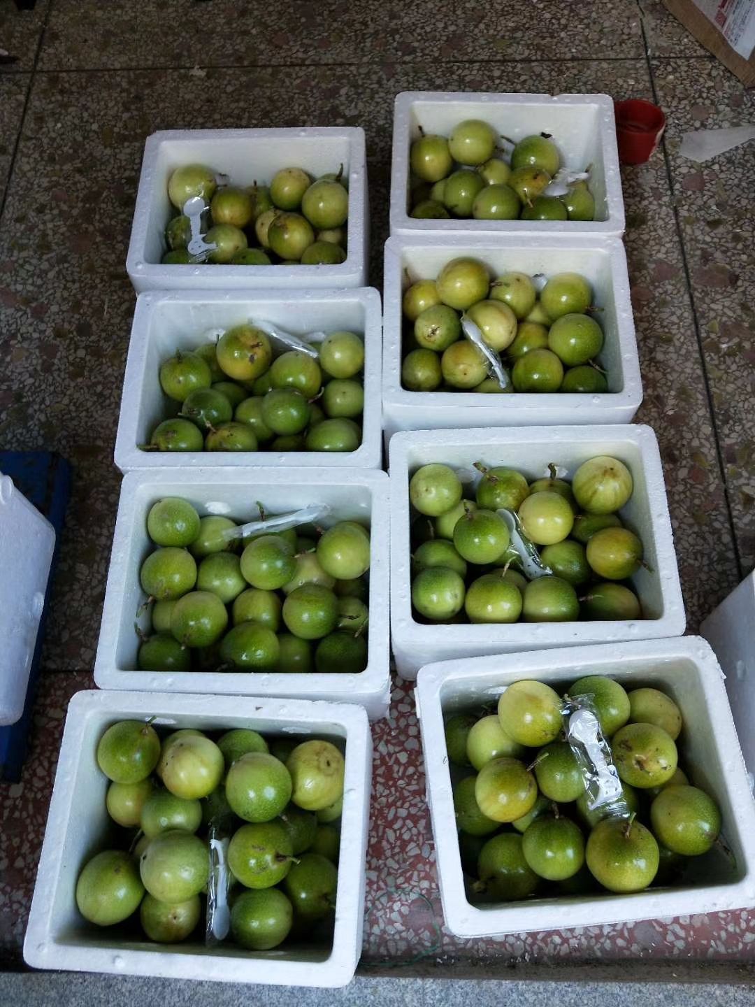  广西北流黄金百香果10斤大果包邮