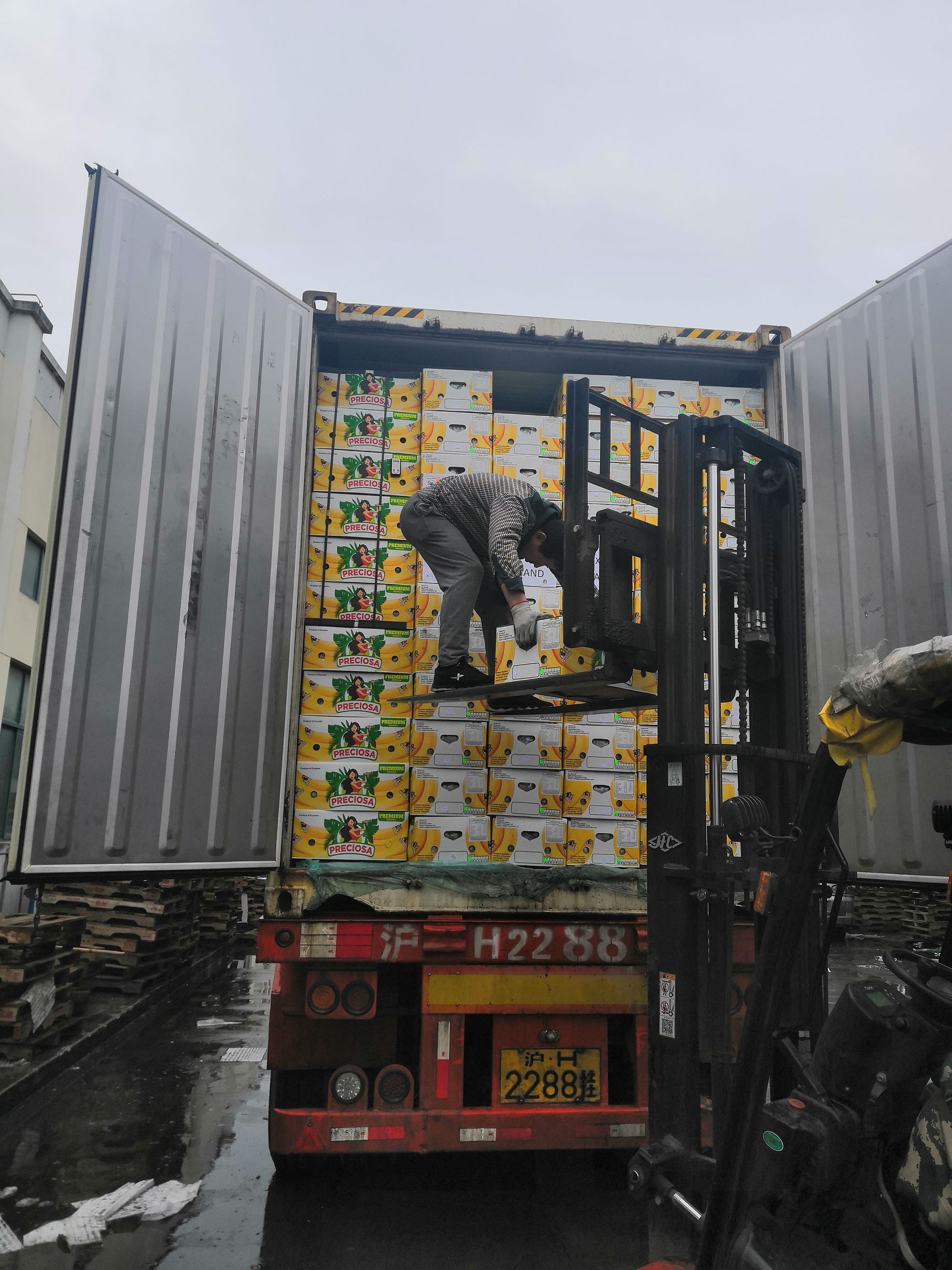  厄瓜多尔香蕉，产地直销