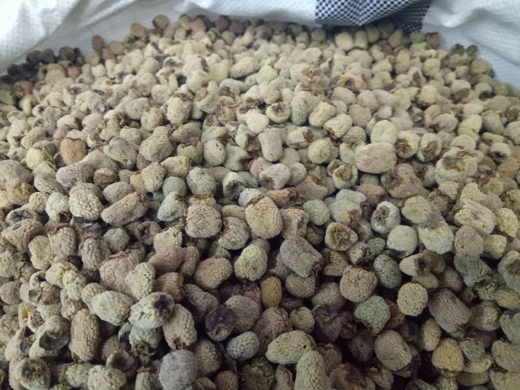 覆盆子干货干净浙江货大粒通装2斤起批大量销售48小时发货