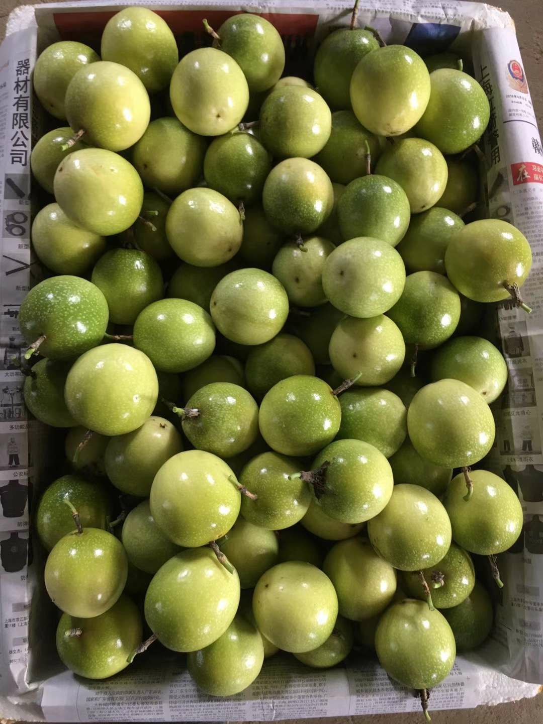  正宗芭乐味黄金百香果（龙岩）批发，代发，商超