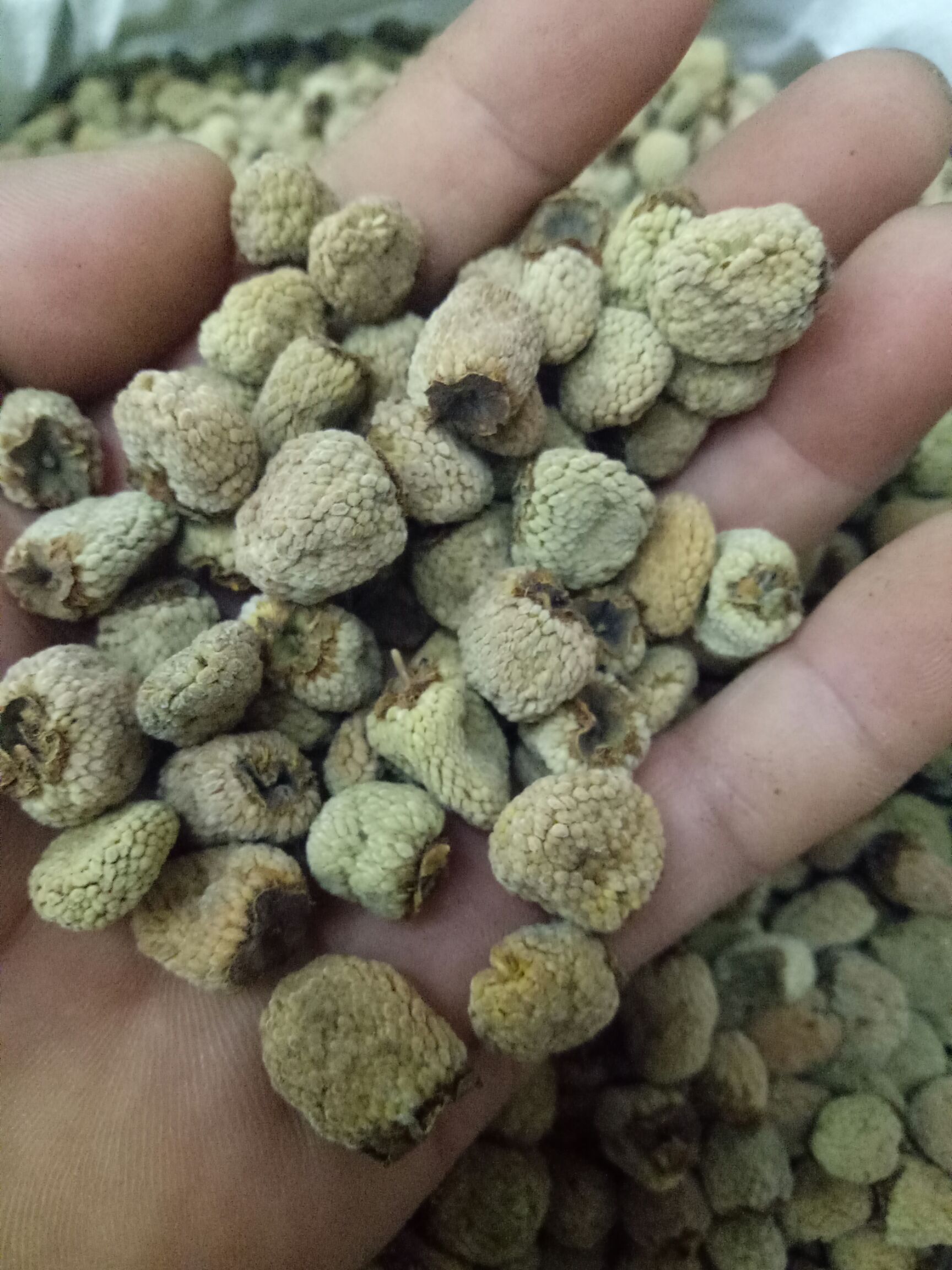 覆盆子干货干净浙江货大粒通装2斤起批大量销售48小时发货
