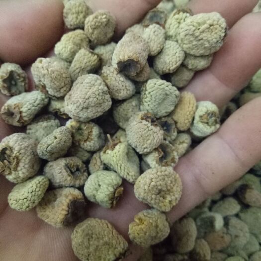 成都覆盆子干货干净浙江货大粒通装2斤起批大量销售24小时发货