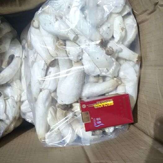 连云港 杏鲍菇片