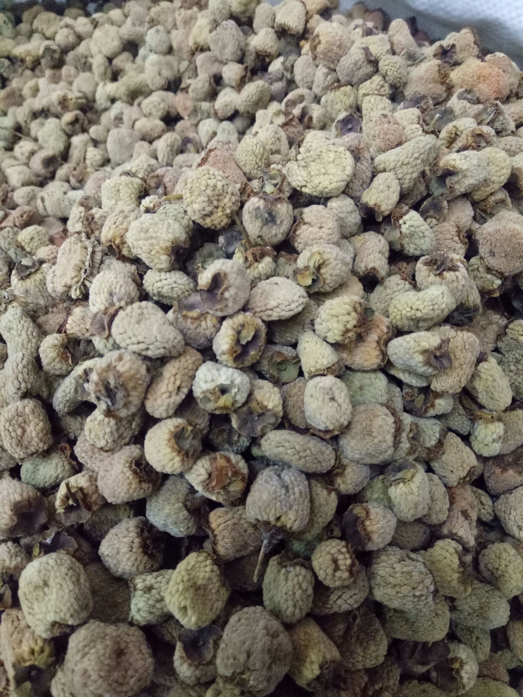 覆盆子干货干净浙江货大粒通装2斤起批大量销售48小时发货