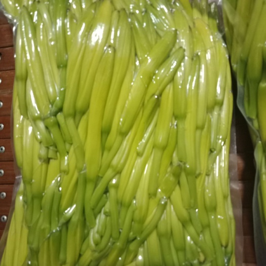 西安 新鲜黄花菜，真空包装，精品黄花菜，保证质量，尽快发货