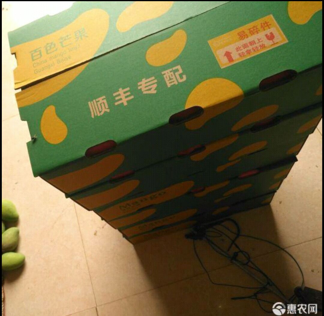 大青芒、金煌芒