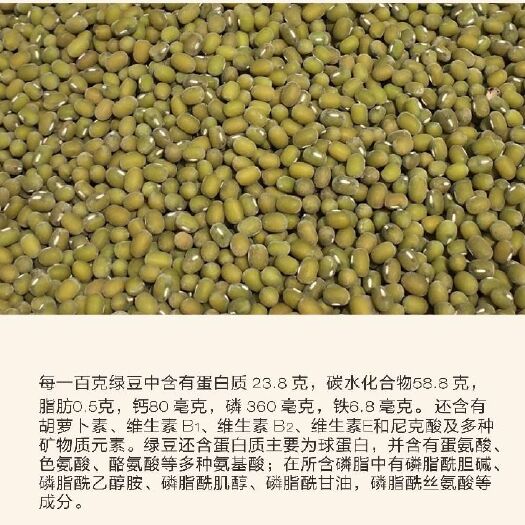 合肥 新农社原种绿豆