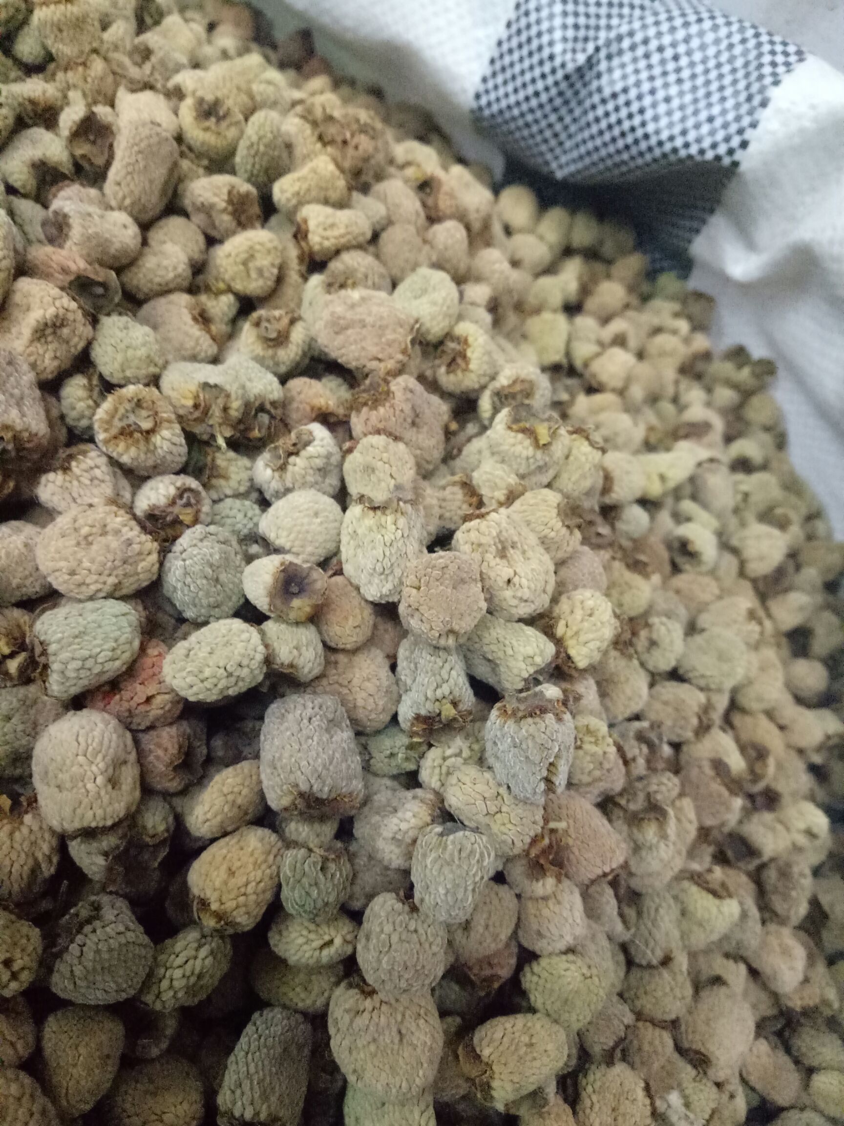 覆盆子干货干净浙江货大粒通装2斤起批大量销售48小时发货