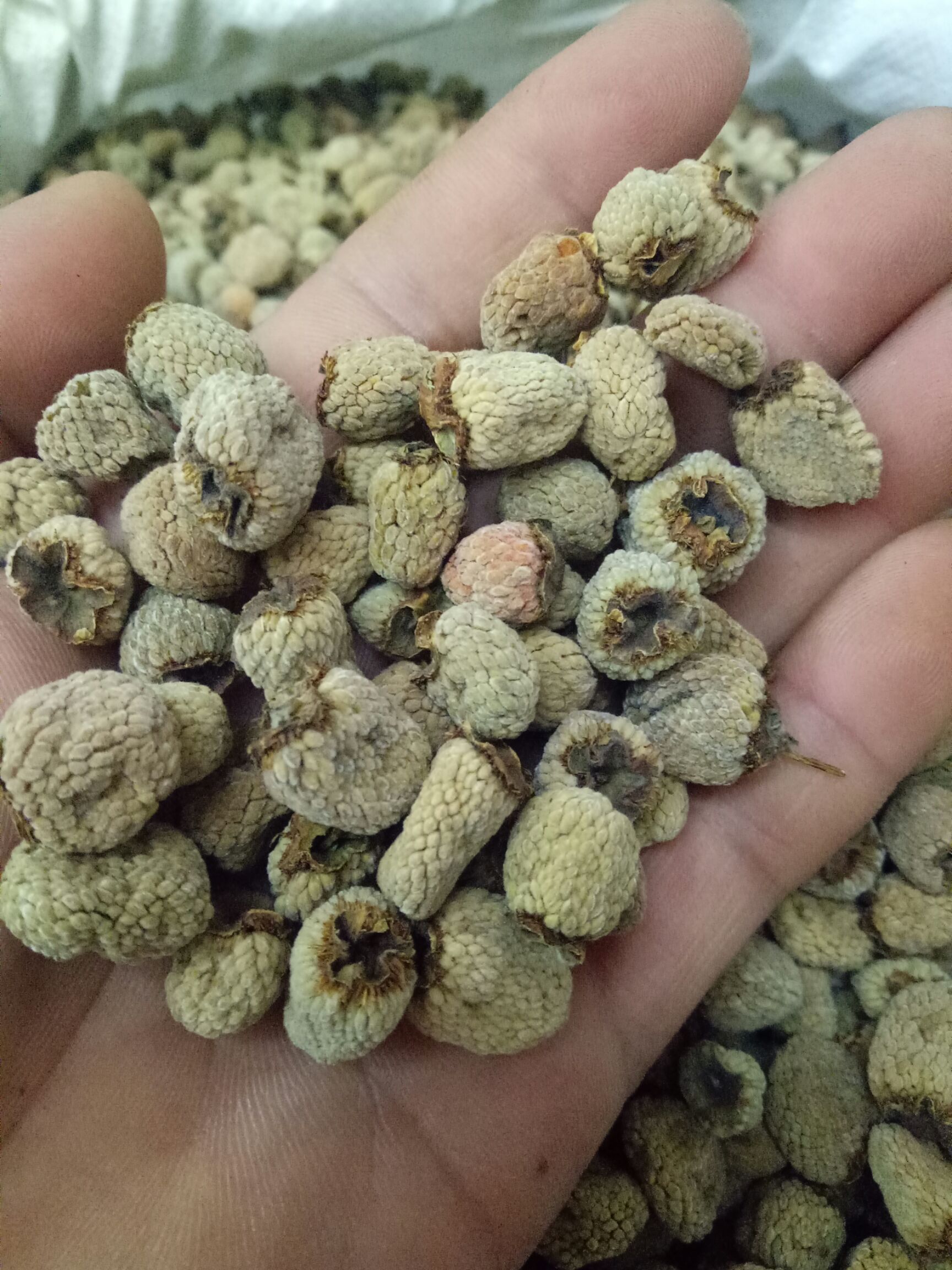 覆盆子干货干净浙江货大粒通装2斤起批大量销售48小时发货