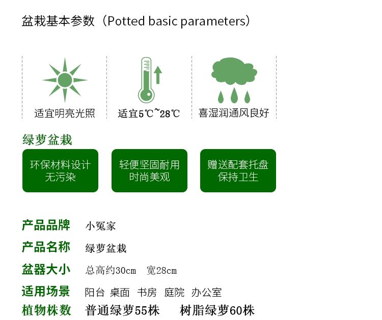 绿萝盆栽花卉室内水培吊兰净化空气植物甲醛长藤大叶绿箩绿植批