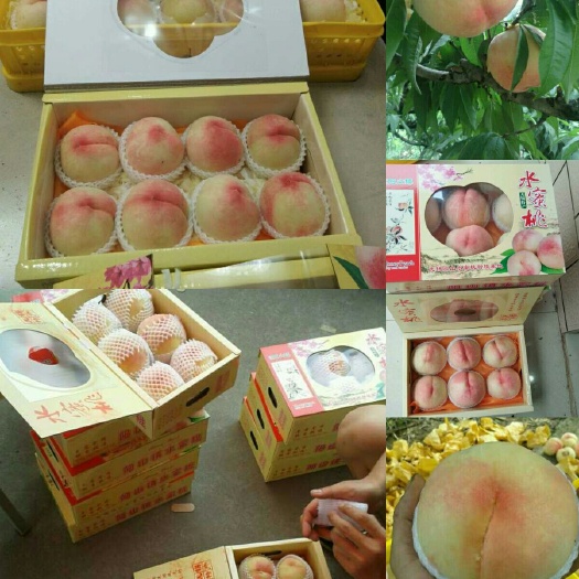 无锡 阳山水蜜桃单果8两至1斤6个装特大桃精品箱