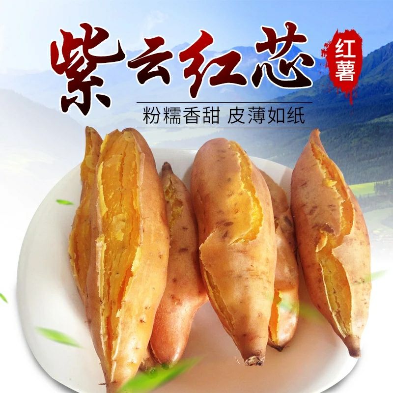 紫云红心红薯 贵州紫云红芯薯