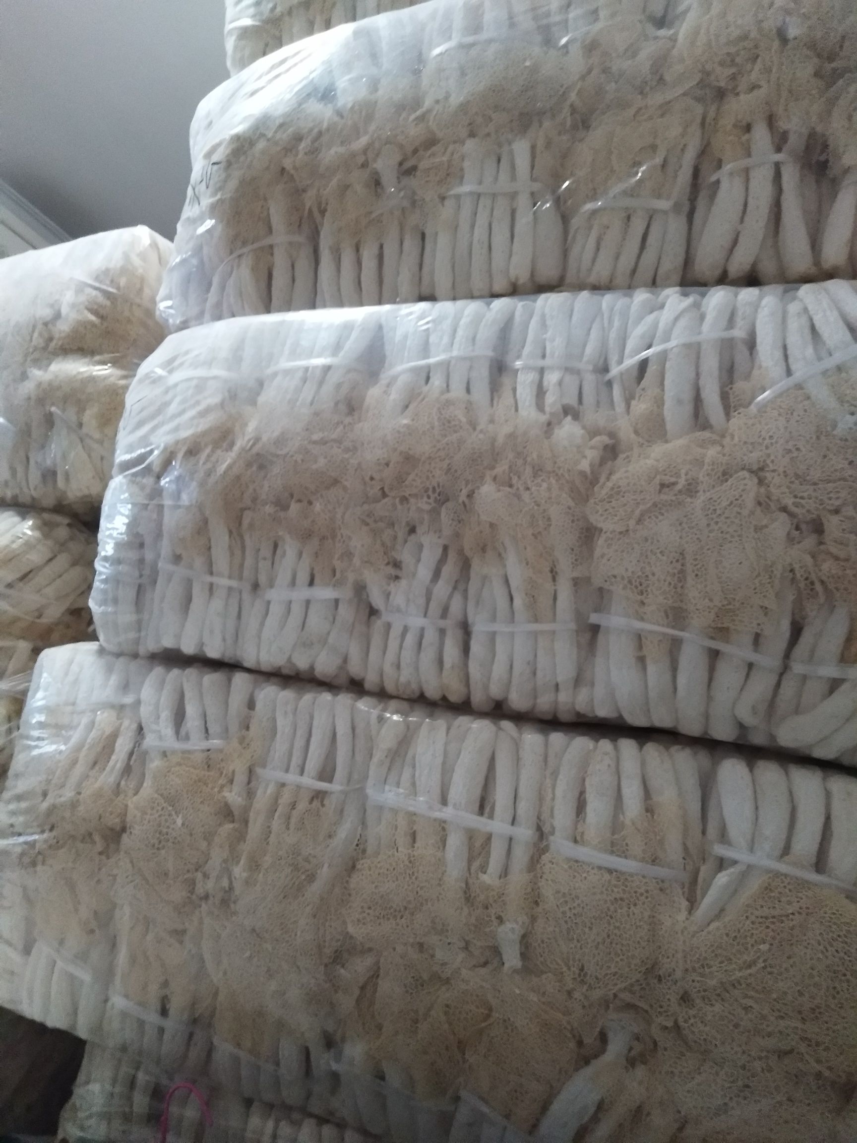 古田竹荪 涨价了