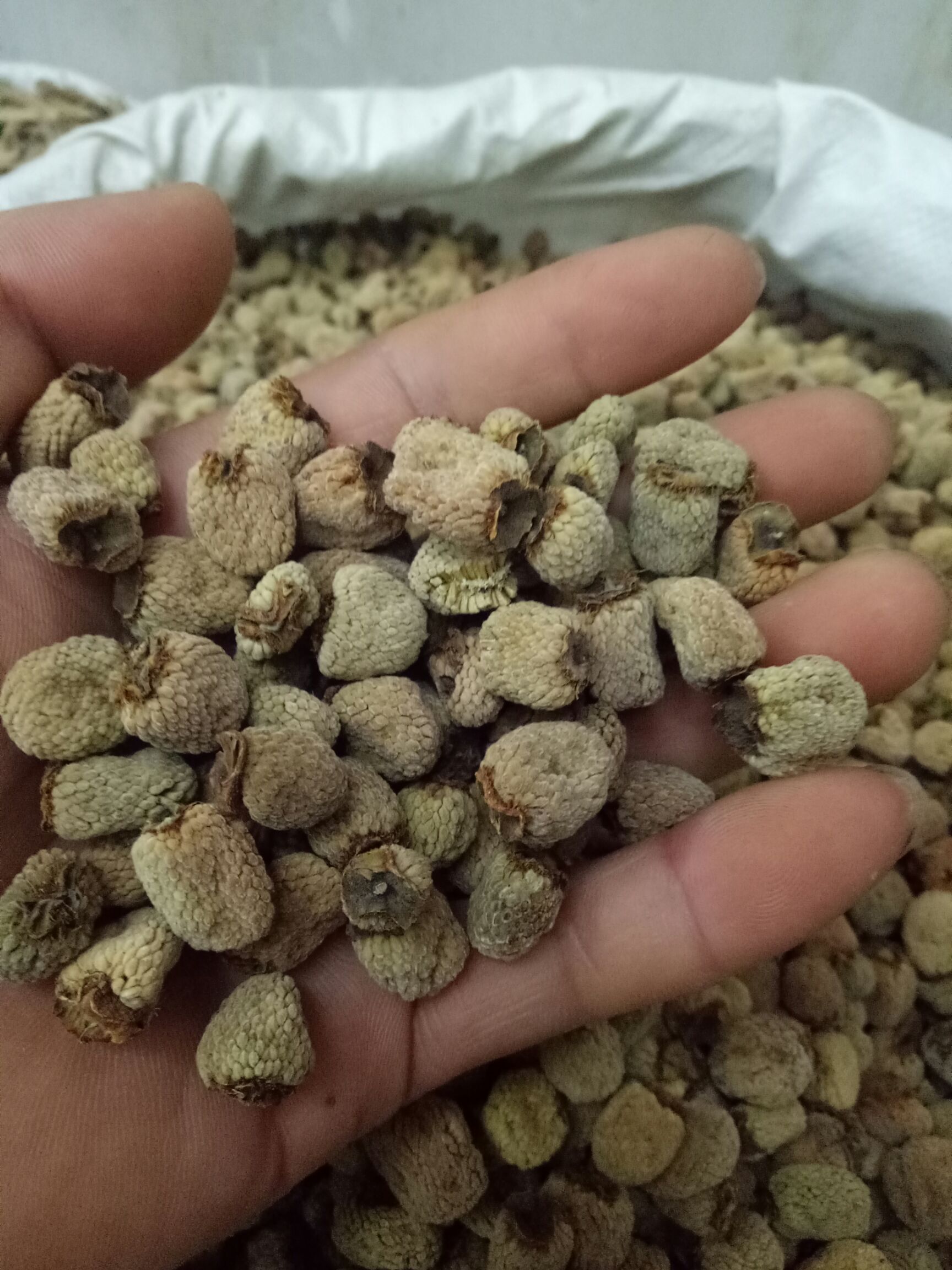 覆盆子干货干净浙江货大粒通装2斤起批大量销售48小时发货