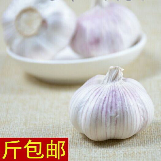 浦北县干蒜苔 农家精选蒜头
