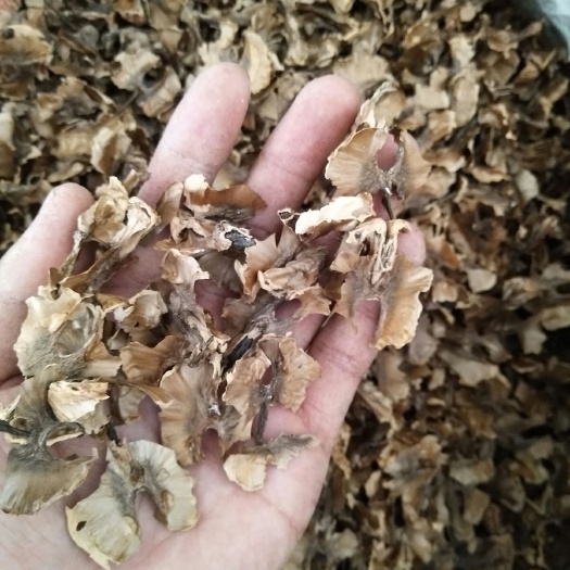 漾濞县 大泡核桃分心木