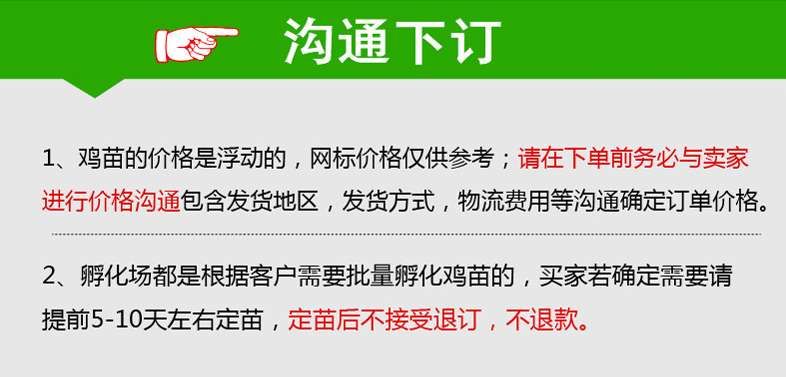 苏禽土鸡苗 青脚麻羽苏禽绿壳鸡苗厂家直销量大从优质量保证包邮