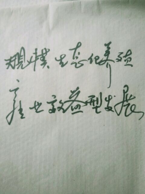 临洮县 中蜂提纯优化发展生产群推广